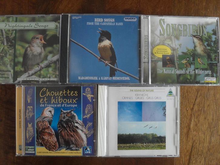 5 CD'S MET VOGELZANG., Cd's en Dvd's, Cd's | Overige Cd's, Zo goed als nieuw, Ophalen of Verzenden