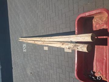 Kastanje palen 2 stuks, 3.70m beschikbaar voor biedingen