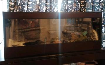 Terrarium 120x50x50 beschikbaar voor biedingen