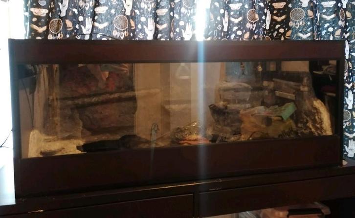 Terrarium 120x50x50, Dieren en Toebehoren, Reptielen en Amfibieën | Toebehoren, Zo goed als nieuw, Ophalen