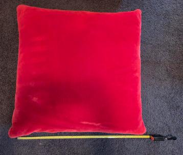 Zware kussens blauw en rood beschikbaar voor biedingen