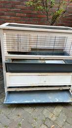 Cavia - konijnenflat, Dieren en Toebehoren, Knaagdieren en Konijnen | Hokken en Kooien, Ophalen, 110 cm of meer, 90 cm of meer