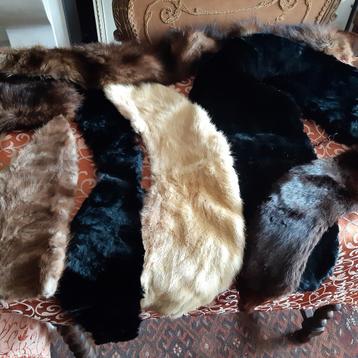 Lotje van 5 vintage bontkragen beschikbaar voor biedingen