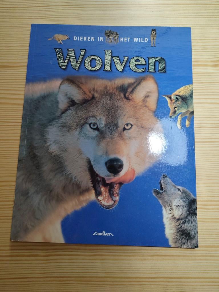 Wolven - Dieren in het Wild, Ophalen of Verzenden, Zo goed als nieuw, Zanichelli