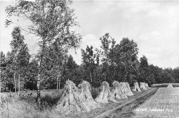 (387-191-013) Lochem Lochemse Berg beschikbaar voor biedingen