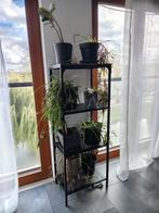 IKEA FJÄLLBO Rek voor planten/decoratie, Ophalen