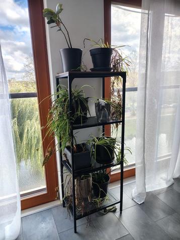 IKEA FJÄLLBO Rek voor planten/decoratie beschikbaar voor biedingen