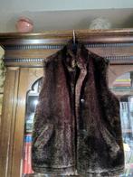 M & S (America Today) bodywarmer soort beren print maat 40, Kleding | Dames, Bodywarmers, Bruin, Ophalen of Verzenden, Gedragen