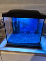 Complete Superfish 30 aquarium, Ophalen, Zo goed als nieuw, Leeg aquarium