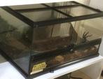 exo terra 60x45x30 izgs, Ophalen, Zo goed als nieuw, Terrarium of Paludarium