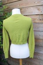 Vest groen Caroline Biss mt 36 Vaste prijs AANBIEDING, Kleding | Dames, Truien en Vesten, Ophalen of Verzenden, Zo goed als nieuw