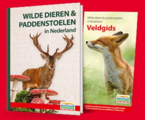 Wilde dieren & paddenstoelen 2025, Postcodeloterij 🦝 🦨 🦭, Boeken, Dieren en Huisdieren, Nieuw, Overige diersoorten, Ophalen of Verzenden
