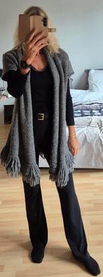 Grijs vest Apriori maat 40, Ophalen of Verzenden, Zo goed als nieuw, Maat 38/40 (M), Grijs