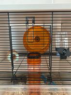 Hamsterhok/meubel wit, Dieren en Toebehoren, Minder dan 60 cm, Minder dan 75 cm, Ophalen of Verzenden, Zo goed als nieuw