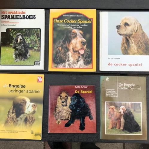 6x COCKER SPANIEL boeken voor maar € 15,00 ., Boeken, Dieren en Huisdieren, Zo goed als nieuw, Honden, Verzenden
