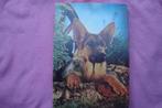 HEMA DIEREN PUZZLE  1.000 stukjes voor 1.95euro., Ophalen of Verzenden, 500 t/m 1500 stukjes, Gebruikt, Legpuzzel