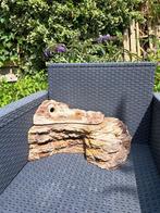 Schildpadden zonne eiland, Dieren en Toebehoren, Reptielen en Amfibieën | Toebehoren, Ophalen, Gebruikt, Terrarium of Paludarium