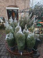 Kerstbomen en Vintage Kerstdecoratie,, Diversen, Kerst, Ophalen of Verzenden, Nieuw