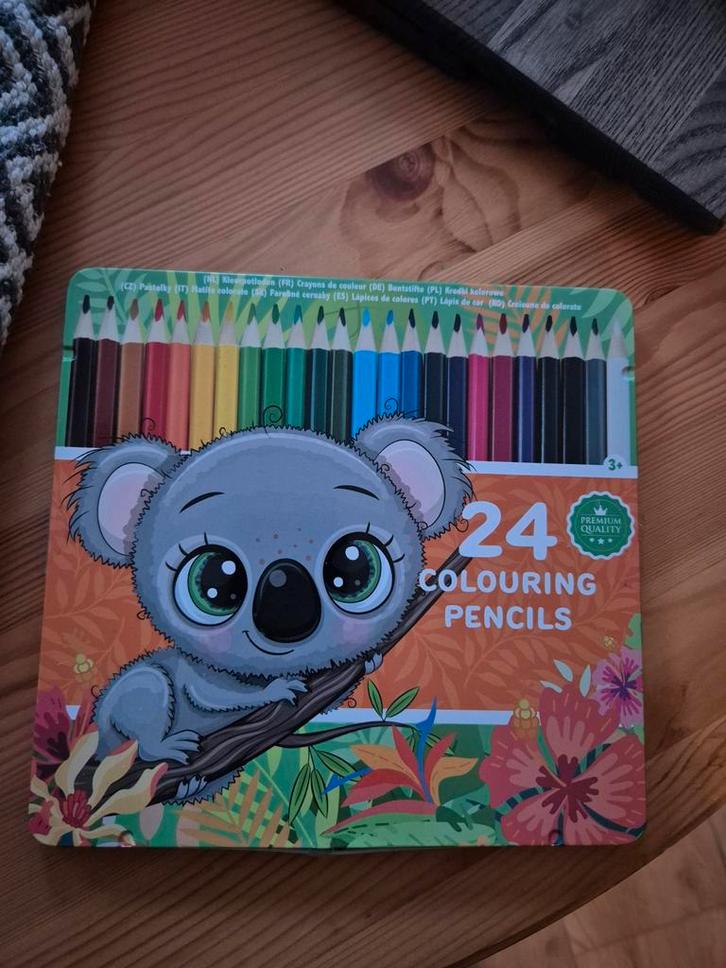 Set van 24 kleurpotloden, Hobby en Vrije tijd, Tekenen, Zo goed als nieuw, Potlood of Stift, Ophalen of Verzenden