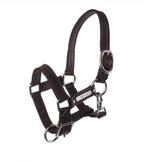 Leren veulen halster soft, Ophalen of Verzenden, Zo goed als nieuw, Overige soorten