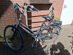 Gazelle Damesfiets - Gebruikt, Ophalen, Versnellingen, Gazelle, 53 tot 56 cm
