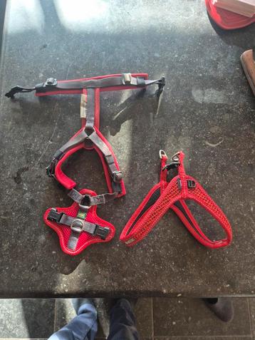 Honden tuigje beschikbaar voor biedingen