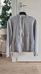 Grijs Lazy Wear vest - Maat XL, Maat 46/48 (XL) of groter, Ophalen of Verzenden, Zo goed als nieuw, Lazy Wear