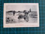 ansichtkaart a284) Op het aardappelland *mensen., Ophalen of Verzenden, Voor 1920, Gelopen, Overige thema's