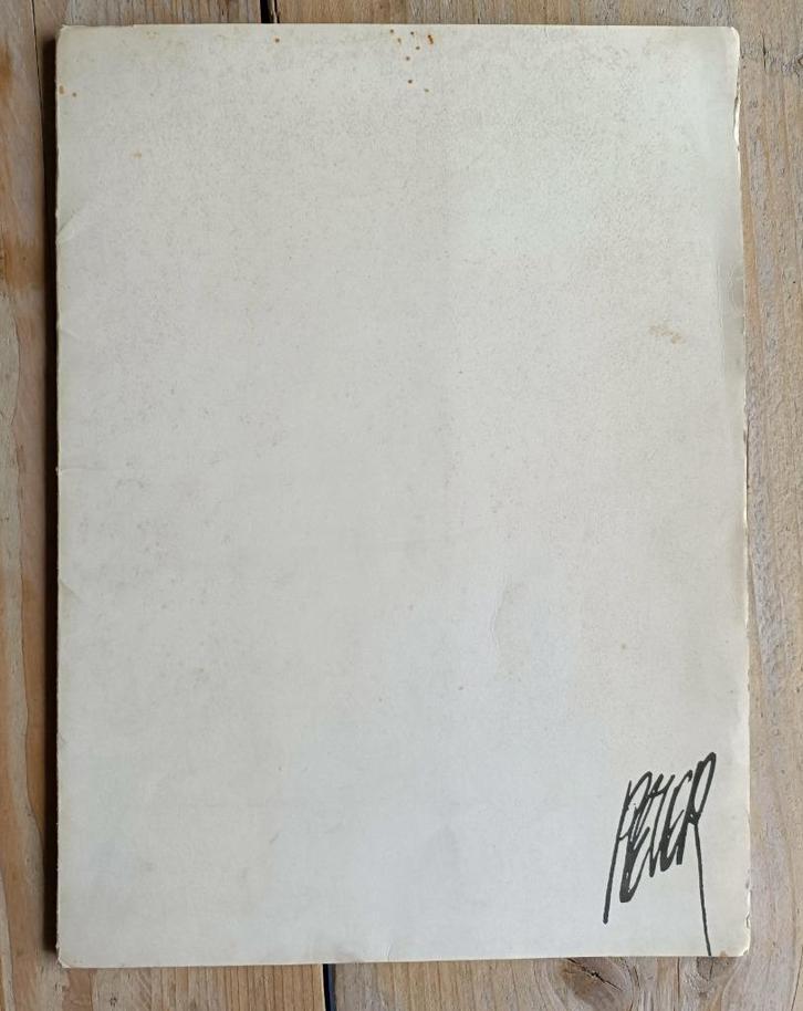 Peter van Straaten - portfolio Het Parool, Boeken, Kunst en Cultuur | Beeldend, Zo goed als nieuw, Schilder- en Tekenkunst, Ophalen of Verzenden