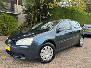 Volkswagen Golf 1.6 16V FSI 85KW 5D Grijs Rijd Super/Airco beschikbaar voor biedingen