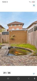 Mooie vijver met Koi karpers te koop, Tuin en Terras, Vijvers, Ophalen of Verzenden, Zo goed als nieuw