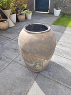 Xl mega grote olijfpot hoogte 75 cm, breedte 55 cm, Ophalen, Gebruikt, Rond, 40 cm of meer