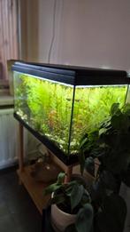 Aqualantis advance aquarium compleet draaiend, Dieren en Toebehoren, Vissen | Aquaria en Toebehoren, Ophalen, Zo goed als nieuw