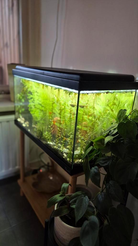 Aqualantis advance aquarium compleet draaiend, Dieren en Toebehoren, Vissen | Aquaria en Toebehoren, Zo goed als nieuw, Leeg aquarium