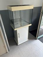 Aguarium Juwel Lido 120, Ophalen, Gebruikt, Leeg aquarium