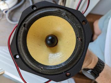 Focal 5K313 beschikbaar voor biedingen