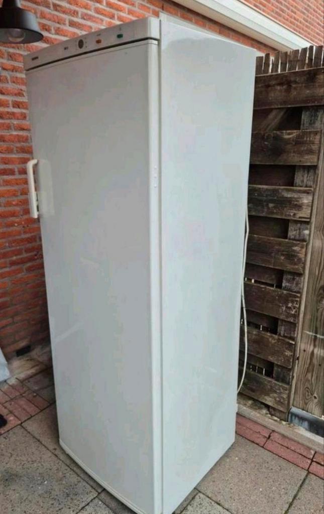 Nette Siemens vrieskast, Witgoed en Apparatuur, Vriezers en Diepvrieskisten, Gebruikt, 160 cm of meer, 60 tot 90 cm, Ophalen