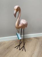 Flamingo, Ophalen of Verzenden