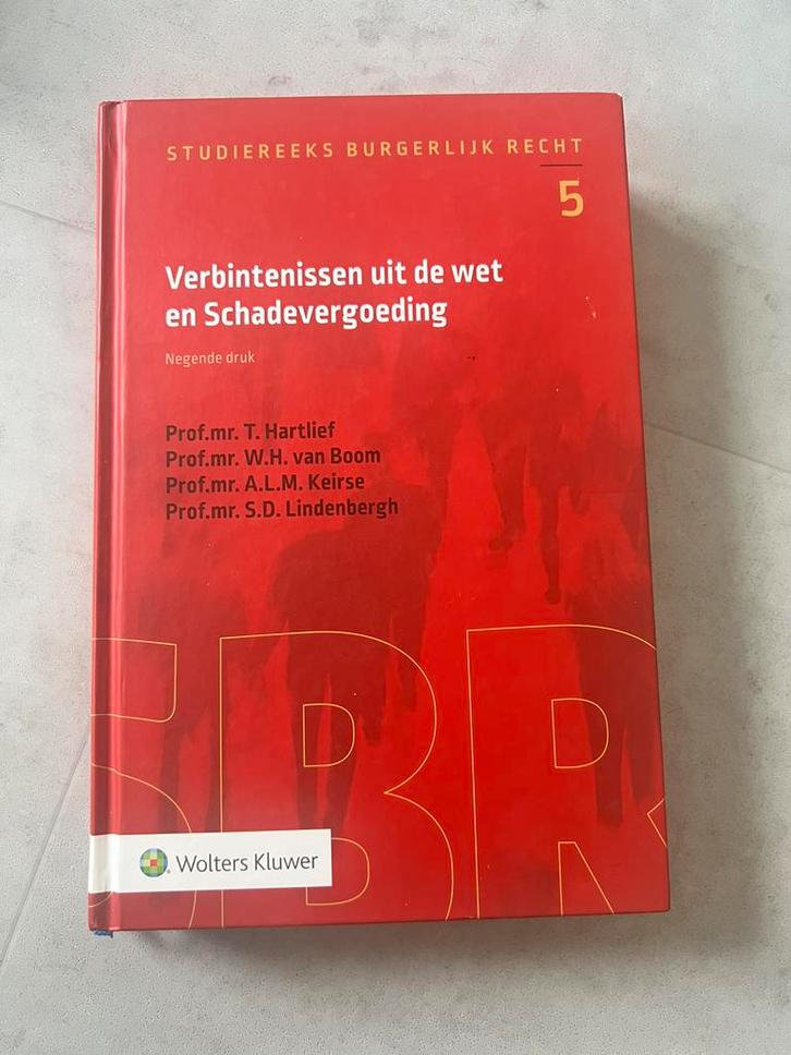 T. Hartlief - Verbintenissen uit de wet en Schadevergoeding, Boeken, Wetenschap, Zo goed als nieuw, Sociale wetenschap, Ophalen of Verzenden