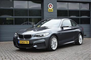BMW 2 Serie Coupé 218i M Sport Automaat (bj 2016) beschikbaar voor biedingen