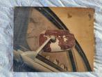 Lotte van Dijck - Auto Papa - 40x50 - op hout geprint, Ophalen of Verzenden