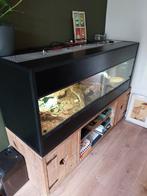 professioneel terrarium, Dieren en Toebehoren, Reptielen en Amfibieën | Toebehoren, Ophalen, Zo goed als nieuw, Terrarium of Paludarium