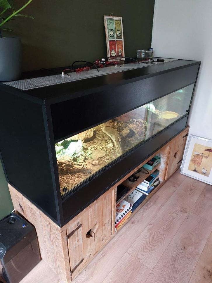 professioneel terrarium, Dieren en Toebehoren, Reptielen en Amfibieën | Toebehoren, Zo goed als nieuw, Terrarium of Paludarium
