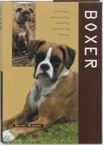 boxer, Ophalen of Verzenden, Nieuw, Honden