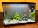 Aquarium Superfish start 70, Dieren en Toebehoren, Vissen | Aquaria en Toebehoren, Ophalen, Zo goed als nieuw, Gevuld zoetwateraquarium