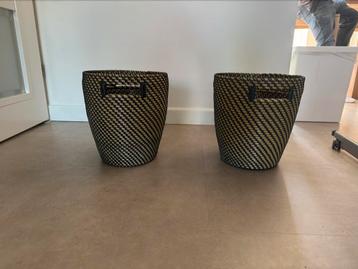 2 plantenpodje  beschikbaar voor biedingen