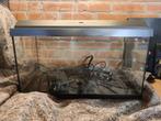 Complete set 60ltr Juwel aquarium, Dieren en Toebehoren, Vissen | Aquaria en Toebehoren, Ophalen of Verzenden, Zo goed als nieuw