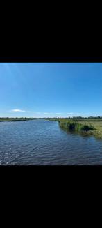 Gezocht persoon die koeien en pinken wil tellen