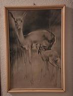 Schilderij Hert met Jong, Ophalen of Verzenden