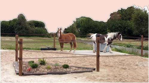 paddock stalling aangeboden, Dieren en Toebehoren, Stalling en Weidegang, Stalling, Weidegang, 2 of 3 paarden of pony's